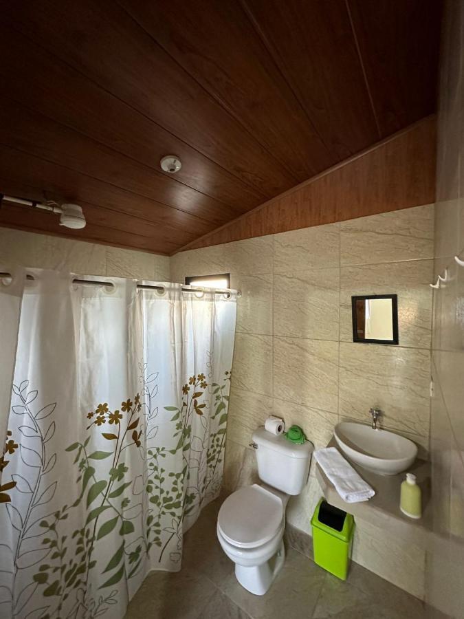 Kiwi House Apartment *