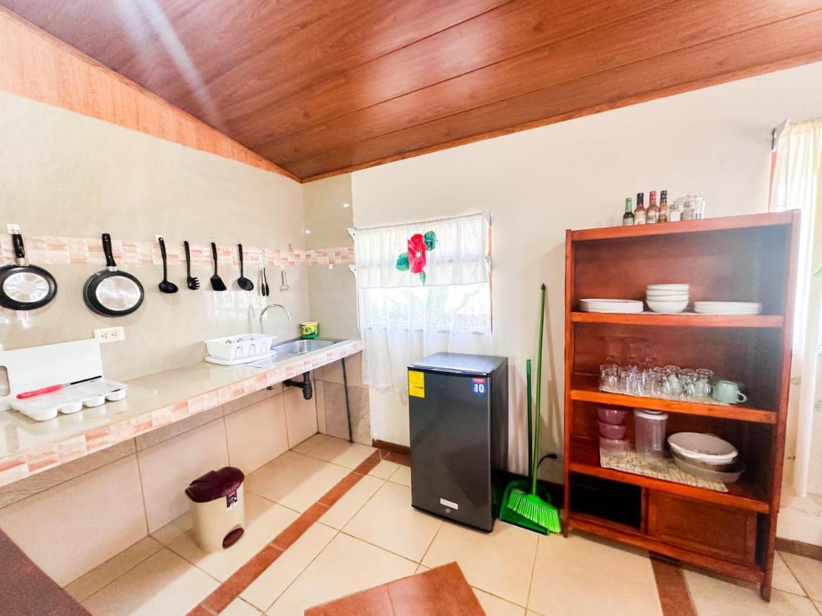 Kiwi House *